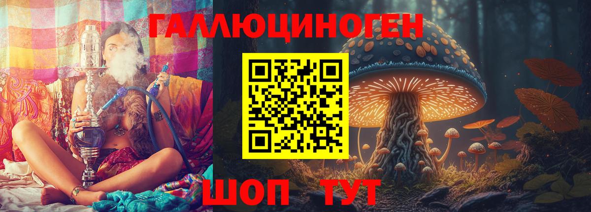 Воркута  Псилоцибиновые грибы Cubensis  Вход с VPN 